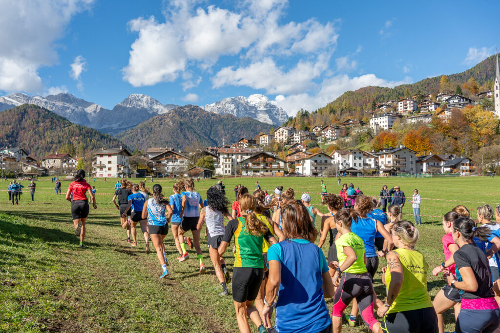 Il regolamento del Campionato provinciale di corsa campestre 2026